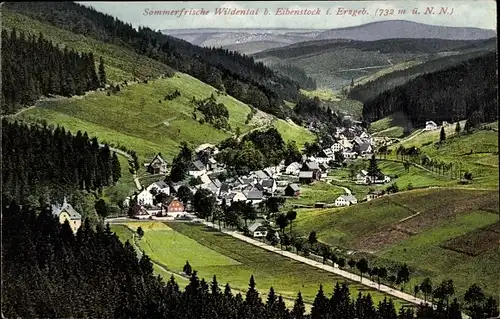 Ak Wildenthal Eibenstock im Erzgebirge, Talpanorama vom Ort