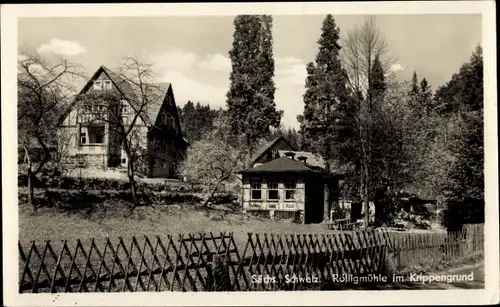 Ak Krippen Bad Schandau Sächsische Schweiz, Rölligmühle im Krippengrund
