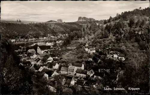 Ak Krippen Bad Schandau Sächsische Schweiz, Panorama