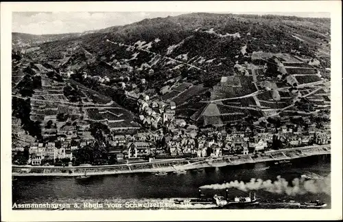 Ak Assmannshausen Rüdesheim am Rhein, Blick vom Schweizerhaus, Dampfer, Panorama