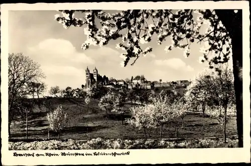 Ak Breisach am Oberrhein, Münster, Baumblüte