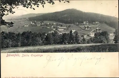 Ak Bärenfels Altenberg im Erzgebirge, Panorama