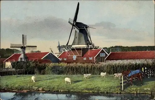 Ak Wasserpartie mit Blick auf Windmühle, Kühe, Photochromie