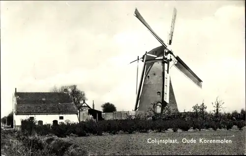 Ak Colijnsplaat Zeeland Niederlande, Oude Korenmolen