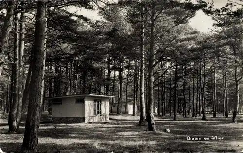 Ak Ommen Overijssel Niederlande, Braam en Vlier, Bungalows, Wald