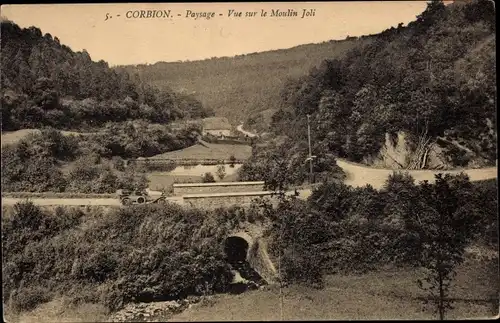 Ak Corbion Bouillon Wallonien Luxemburg, Paysage, Vue sur le Moulin Joli