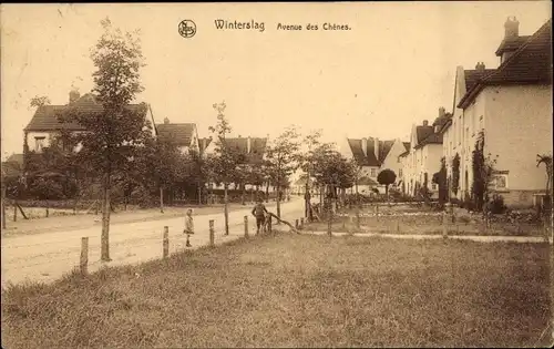 Ak Winterslag Genk Genck Flandern Limburg, Avenue des Chenes