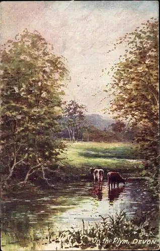Künstler Ak Devon England, On the Plym, Kühe, Tuck 7841