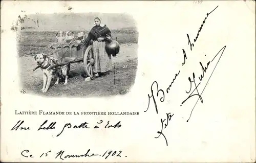 Ak Laitière flamande de la Frontière hollandaise, Milchmädchen, Hundekarren