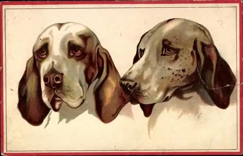 Ak Zwei Hunde, Tierportrait