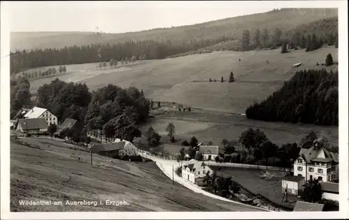 Ak Wildenthal Eibenstock im Erzgebirge, Auersberg, Panorama