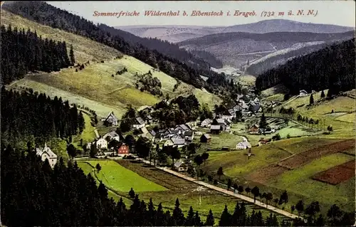 Ak Wildenthal Eibenstock im Erzgebirge, Panorama