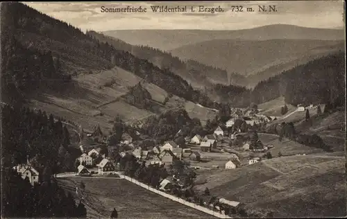 Ak Wildenthal Eibenstock im Erzgebirge, Sommerfrische, Blick ins Tal, Wälder, Berge Häuser