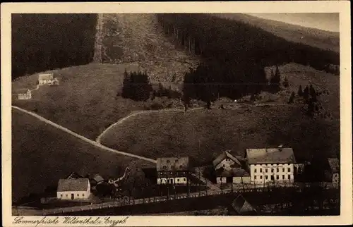 Ak Wildenthal Eibenstock im Erzgebirge, Teilansicht mit Hotel Drechsler