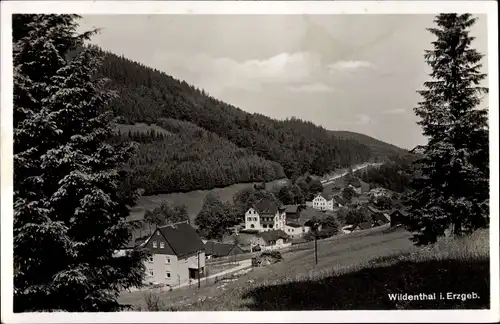 Ak Wildenthal Eibenstock im Erzgebirge, Teilansicht, Häuser