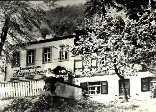 Ak Krippen Bad Schandau Sächsische Schweiz, Landgasthaus Ziegelscheune