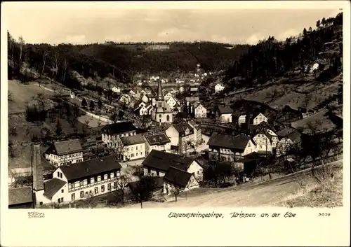 Ak Krippen Bad Schandau Sächsische Schweiz, Ortsansicht, Walter 3628