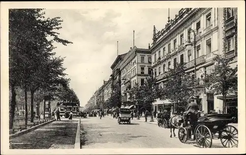 Ak Berlin Mitte, Unter den Linden, Omnibus, Kutschen
