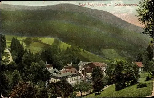 Ak Bad Rippoldsau Schapbach Schwarzwald, Ort, Wald
