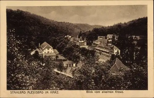 Ak Alexisbad Harzgerode am Harz, Blick vom eisernen Kreuz auf den Ort