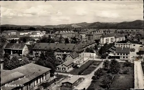 Ak Breisach am Oberrhein, Panorama