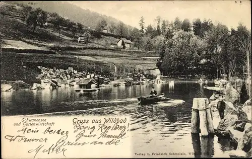 Ak Bad Wildbad im Schwarzwald, Schwanensee und Gartenwirtschaft