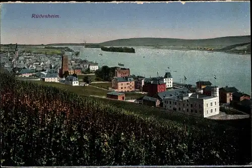 Ak Rüdesheim am Rhein, Ortsansicht