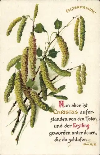Ak Glückwunsch Ostern, Nun aber ist Christus auferstanden, 1. Kor. 15, 20