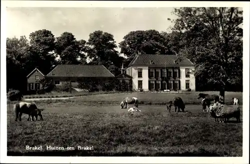 Ak Brakel Gelderland Niederlande, Huizen ten Brakel