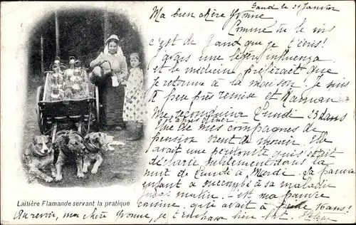 Ak Belgien, Laitière flamande, Flämisches Milchmädchen, Hundekarren
