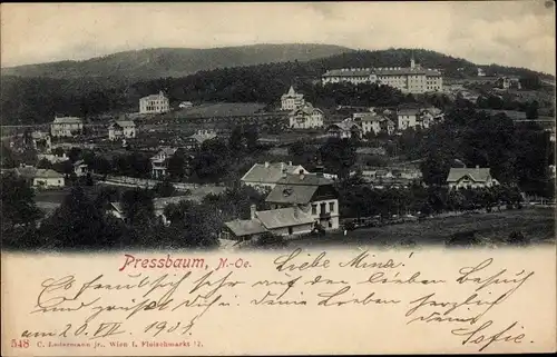 Ak Pressbaum in Niederösterreich, Blick auf den Ort