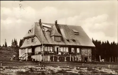 Ak Bernau im Schwarzwald, Gasthaus und Pension Herzogenhorn