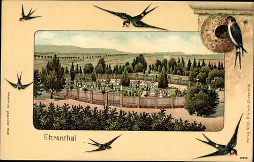 Passepartout Litho Saarbrücken, Ehrenthal, Friedhof, Schwalben