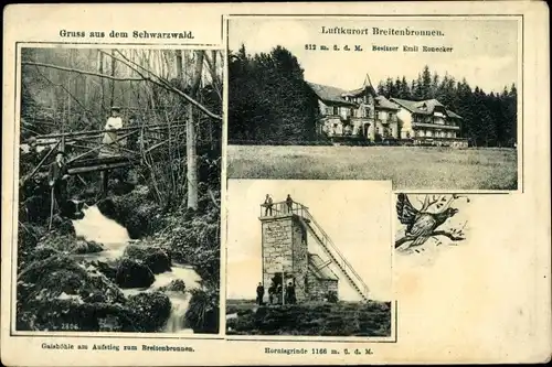 Ak Sasbachwalden im Schwarzwald, Breitenbrunnen, Hornisgrinde, Gaishöhle