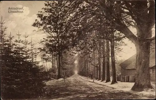 Ak Ulvenhout Nordbrabant Niederlande, Annadreef