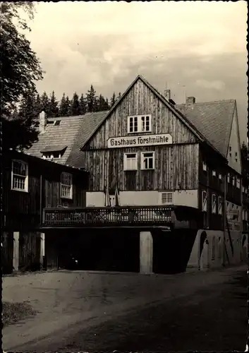 Ak Krippen Bad Schandau Sächsische Schweiz, Gasthaus Forstmühle, Krippengrund