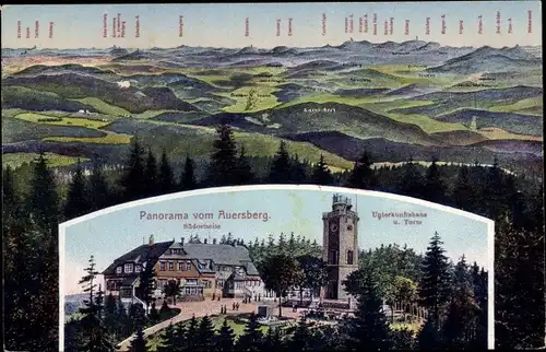 Ak Wildenthal Eibenstock im Erzgebirge, Panorama vom Auersberg, Unterkunftshaus, Riesenberg