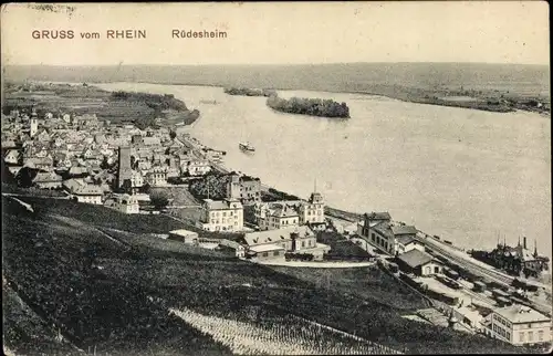 Ak Rüdesheim am Rhein, Ortsansicht