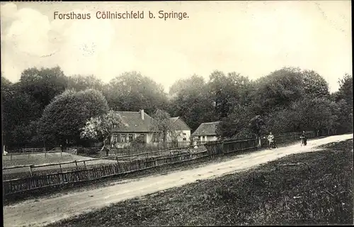 Ak Cöllnischfeld Springe am Deister, Forsthaus
