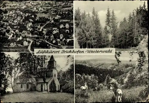 Ak Frickhofen Dornburg im Westerwald Hessen, Kirche, Wald, Ortsansicht