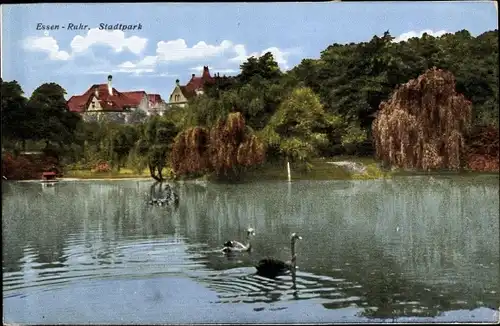 Ak Essen im Ruhrgebiet, Stadtpark, Gewässer