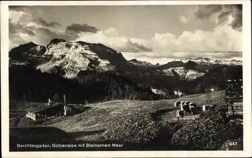 Ak Berchtesgaden in Oberbayern, Gotzenalpe mit Steinernem Meer