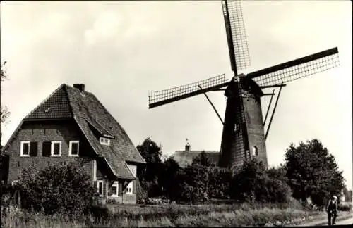 Ak Eindhoven Nordbrabant Niederlande, Molen, Boschdijk