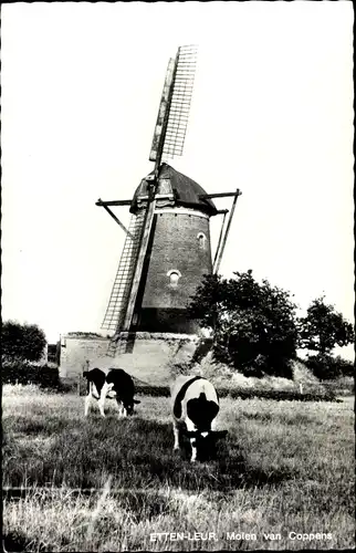 Ak Etten Leur Nordbrabant, Molen van Coppens