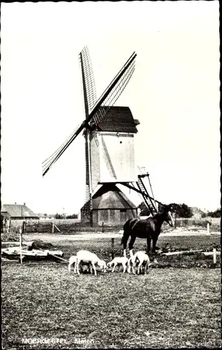 Ak Moergestel Nordbrabant Niederlande, Molen