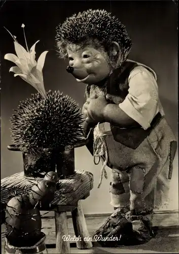 Ak Mecki der Igel, Welch ein Wunder, Blühender Kaktus