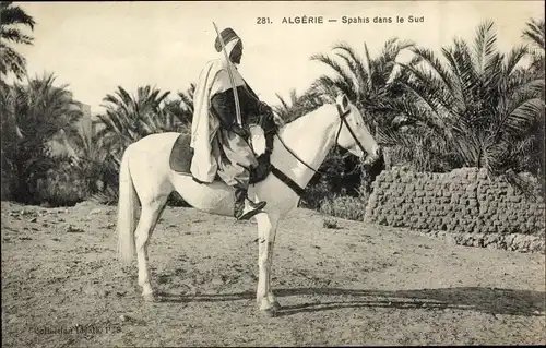 Ak Scenes et Types, Spahi dans le Sud, berittener Krieger mit Säbel, Palmen