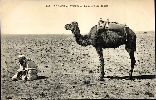 Ak Scenes et Types, La priere au desert, Maghreb, Gebet, Kamel