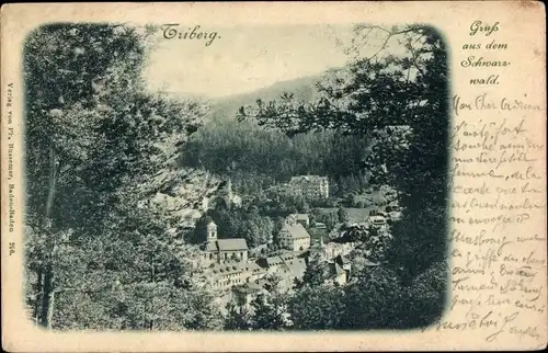 Ak Triberg im Schwarzwald, Blick zum Ort durch die Bäume