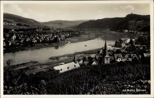 Ak Alf Bullay Mosel, Blick auf die Stadt, Weinstöcke